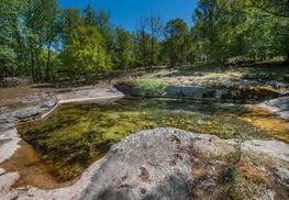 Forêt de la Braunhie